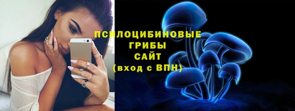 сатива Алзамай