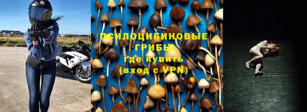 круглые Алексеевка