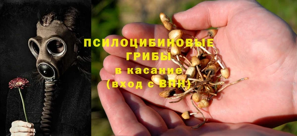 сатива Алзамай
