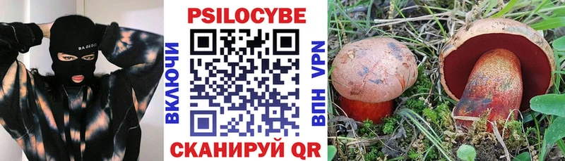 Галлюциногенные грибы Psilocybe Березники